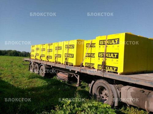 Газосиликатные U-блоки (П-блоки) Istkult 500х250х300, D500